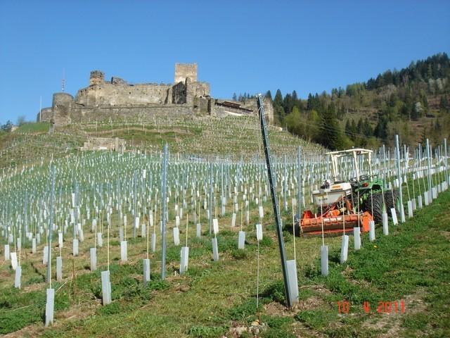 Mulchen 012